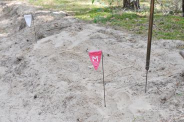 Piknik na przedwojennym poligonie Krzeczów – Więcławy zakończył realizację projektu historycznego Stowarzyszenia Historycznego Bataliony Obrony Narodowej 